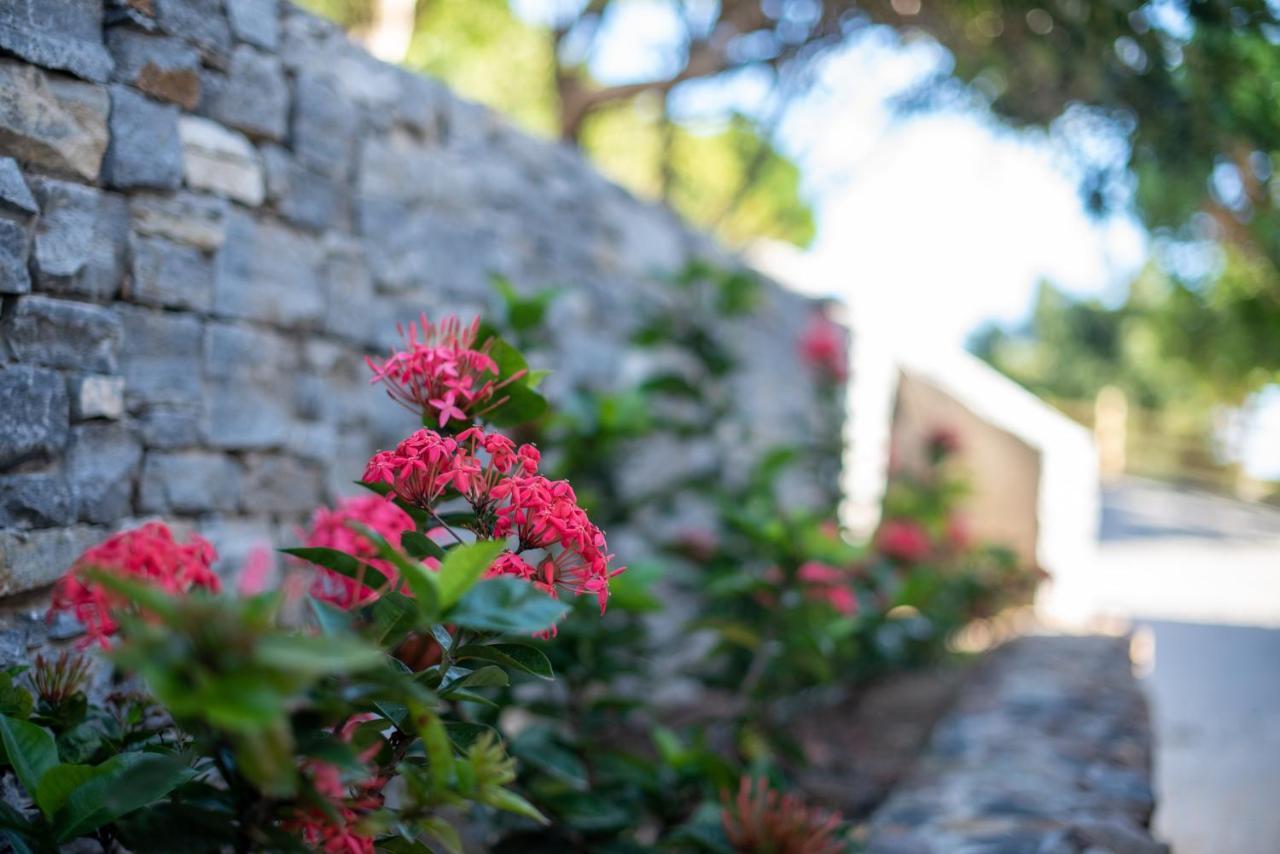 Les villas de Sweet Hill St. Barthelemy Extérieur photo